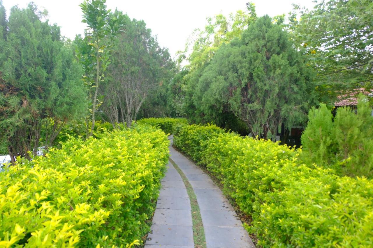 Chalets Resort Masinagudi Udagamandalam Exterior photo