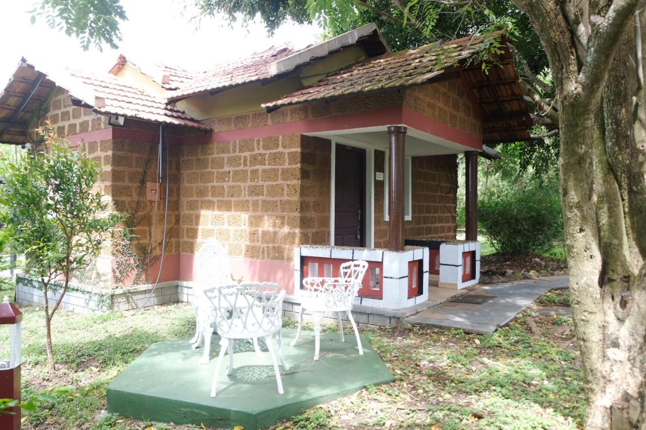 Chalets Resort Masinagudi Udagamandalam Exterior photo