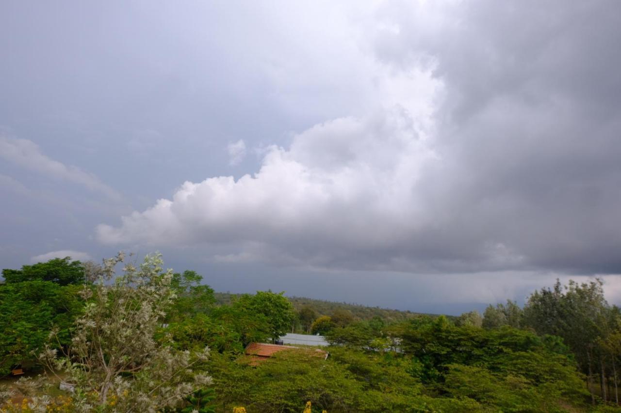 Chalets Resort Masinagudi Udagamandalam Exterior photo