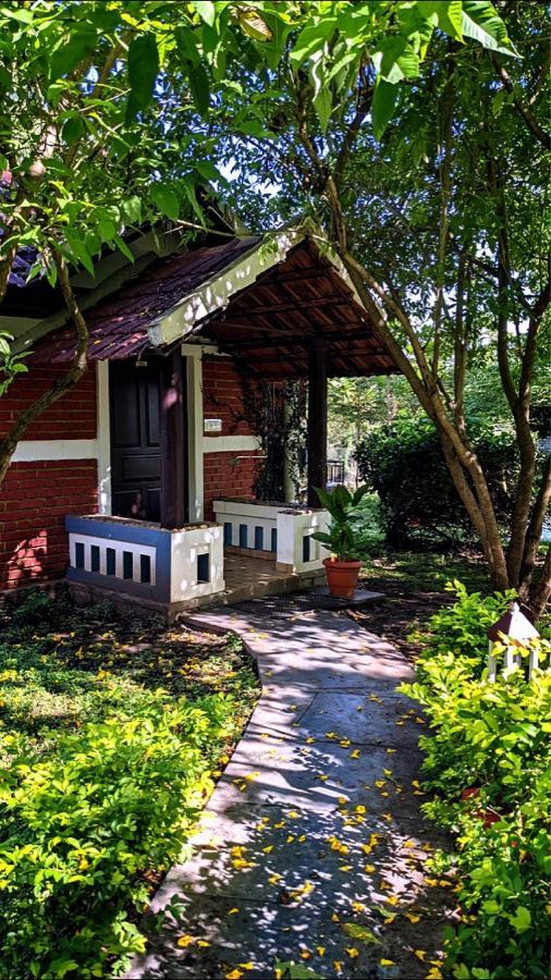 Chalets Resort Masinagudi Udagamandalam Exterior photo
