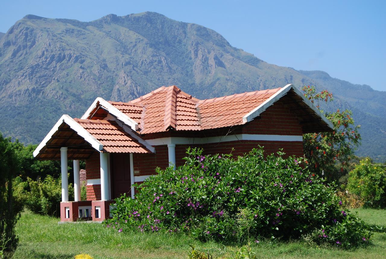 Chalets Resort Masinagudi Udagamandalam Exterior photo
